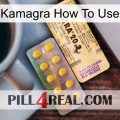 Kamagra How To Use new06